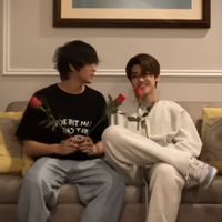haemin fiction
