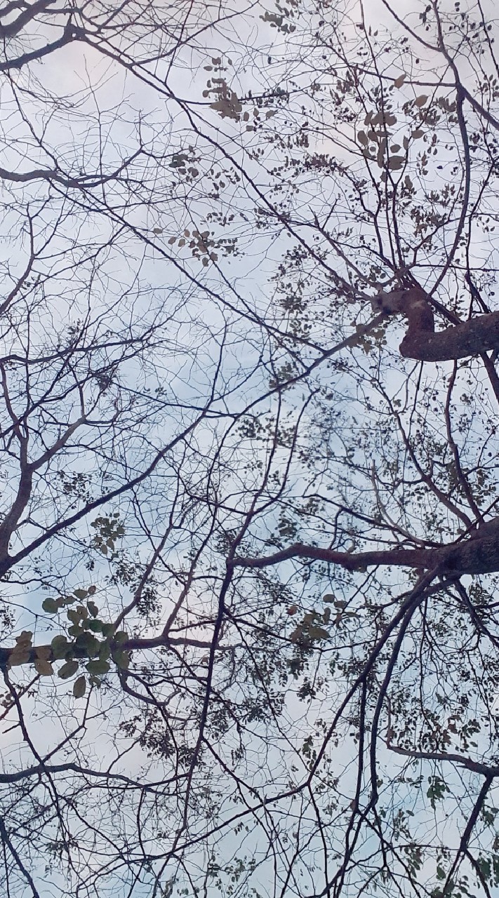 故事分享天地
