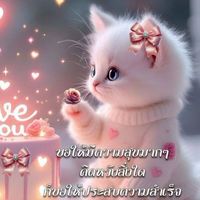 ครูนกไลน์แดนส์