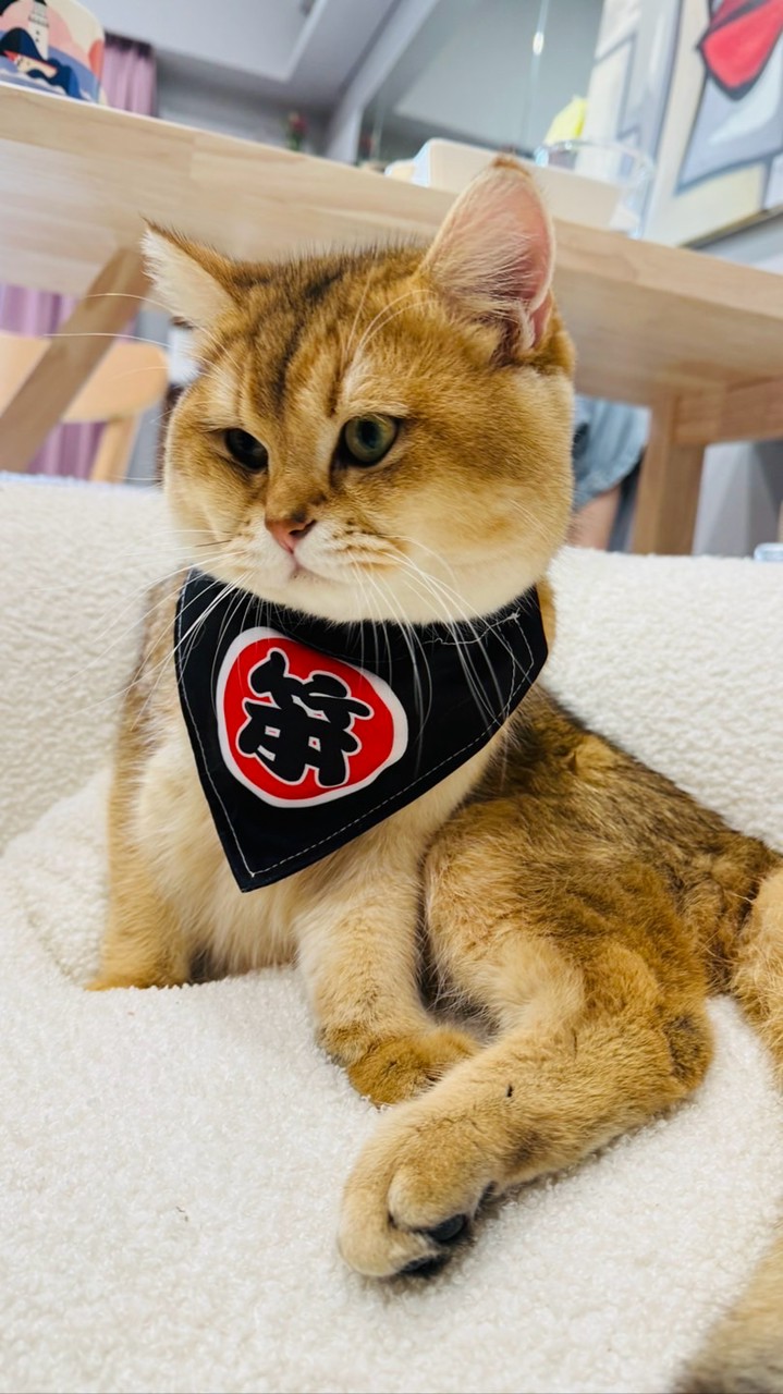 #一起運動吧！舞蹈課程影片