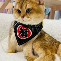 #一起運動吧！舞蹈課程影片