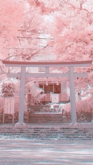 繁华尽烟雨残