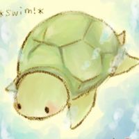 亀さん大好き軍団みんな来て!!
