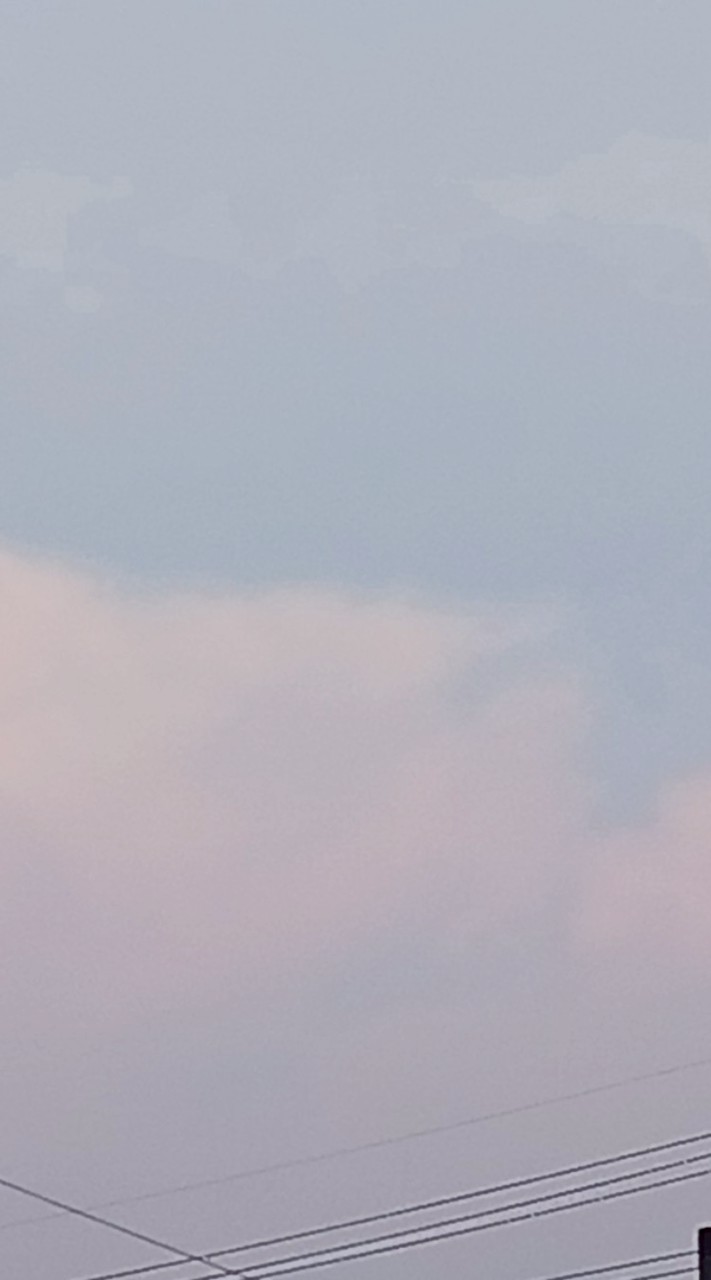 いれりす集会💕𓍯𓂃 𓈒𓏸🎲