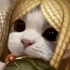 第五人格討論區