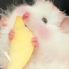 無聊就來聊聊天吧😊