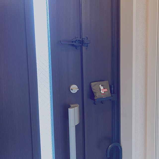 エコバッグどうしてる おすすめの置き場所と収納アイデア