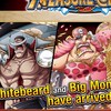 OPTC version Global only
