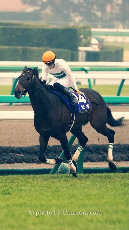 競馬予想!!のオープンチャット