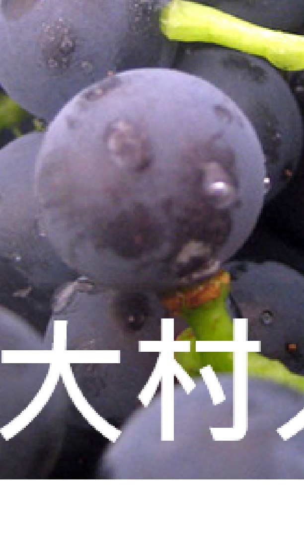 我是大村人