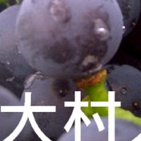 我是大村人