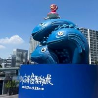 🗾日本代購,,>᎑<,,