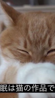 身内作っちゃわNIGHT ❣️ 全緩ハント的なテキーラ ⁉️笑