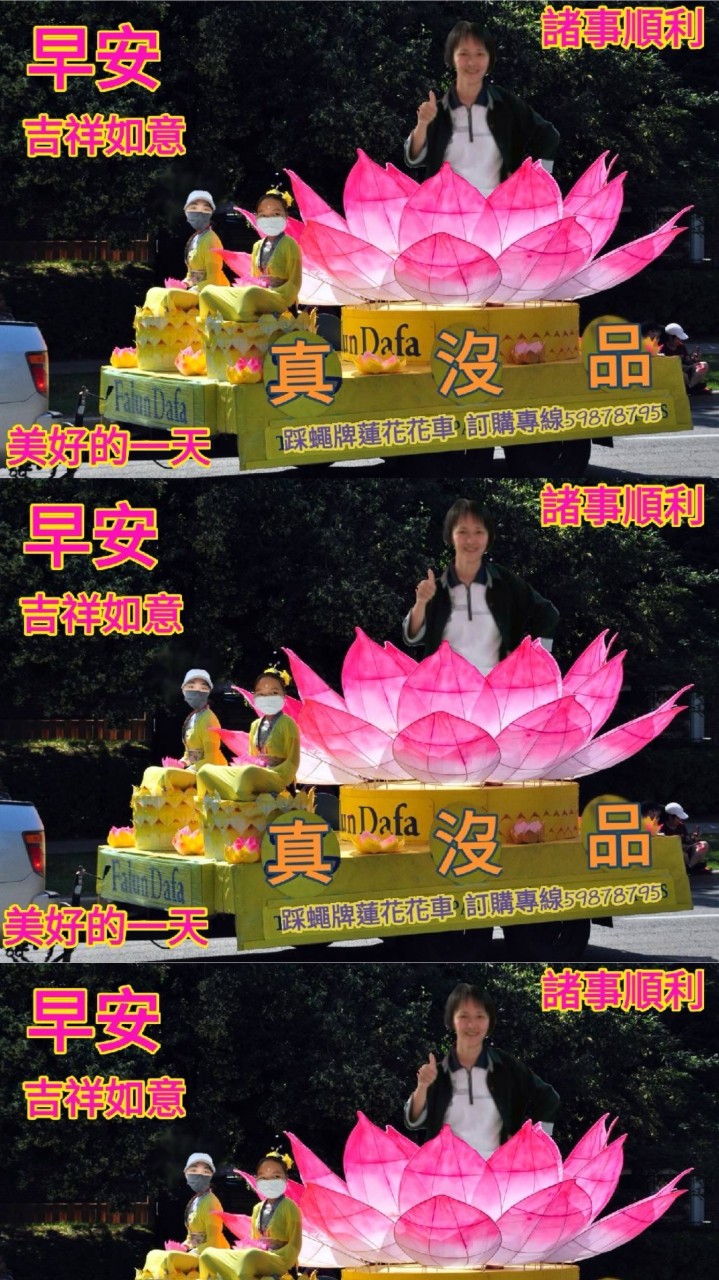 鏡的每一個人🌸