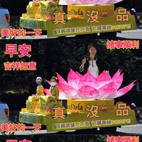 鏡的每一個人🌸