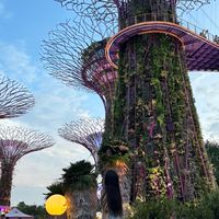 《找到了！旅遊》Nicole帶你去旅遊