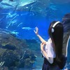 【雑談】気軽に入ってね〜！