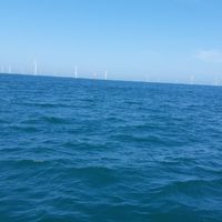竹南龍鳳港-張揚娛樂海釣船