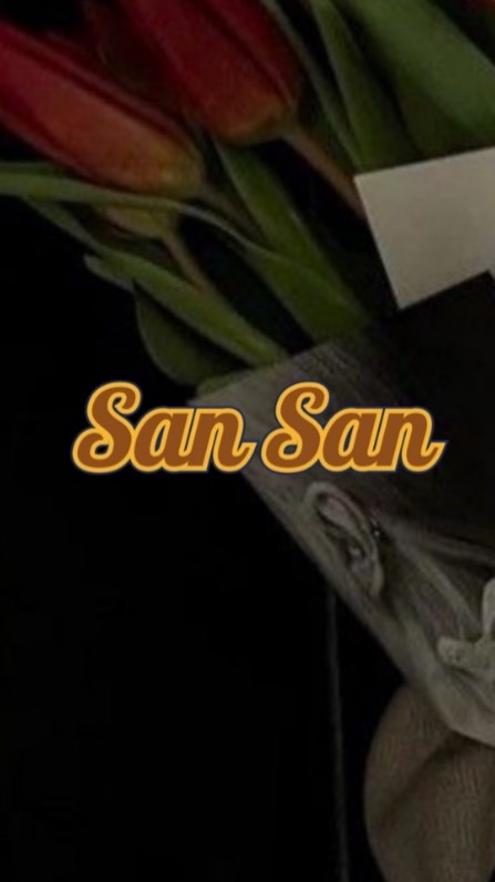 San歐洲連線代購
