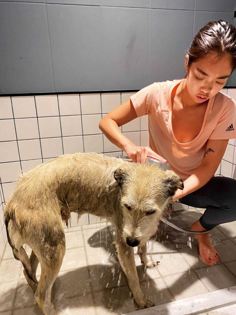 大霈將波波當成小孩照顧，凡事親力親為，連洗澡都不假手他人。（圖／大霈提供）