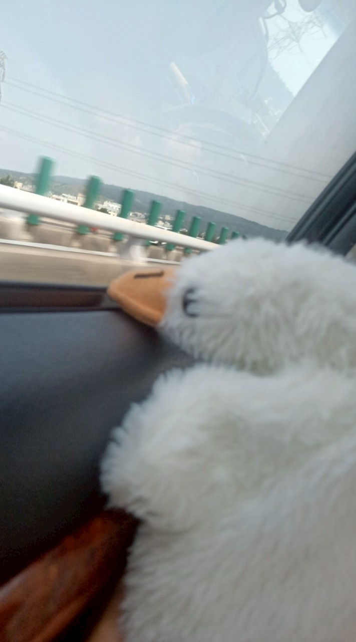 抱怨小天地 可抱怨學校或家人