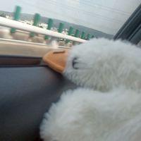 抱怨小天地 可抱怨學校或家人