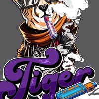 TIGER🐯 มิตรสัมพันธ์ ทัศนาสวีทอิน
