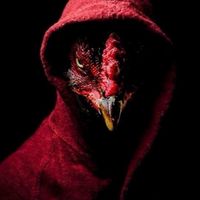นกฮู้ก คุยเรื่องไก่