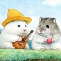 梨花貓貓佛系日本代購