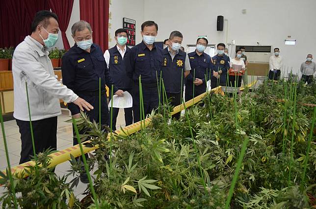 嘉義檢警破獲販毒案起出1600株大麻市值5億 中央通訊社 Line Today