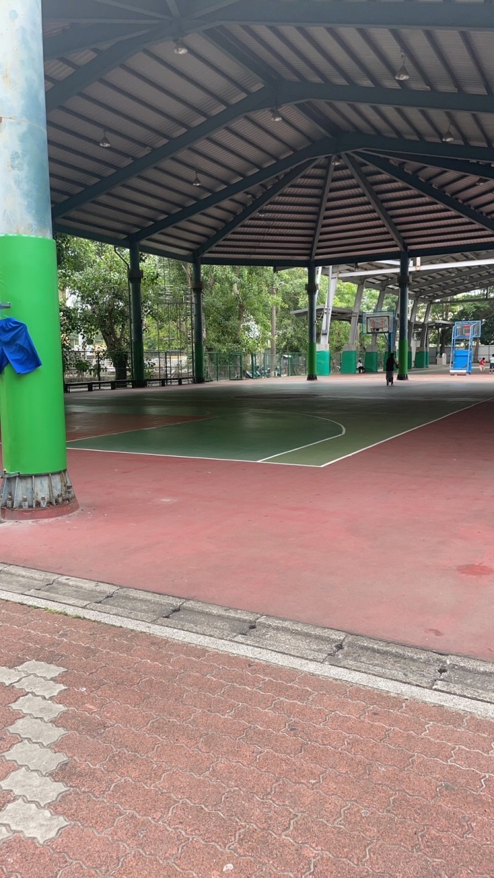 台南體育場（籃球場）