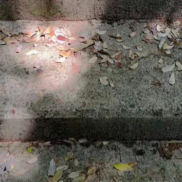 円山のundefinedに実際訪問訪問したユーザーunknownさんが新しく投稿した新着口コミの写真
