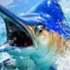 歡樂釣魚-大漁釣魚協會