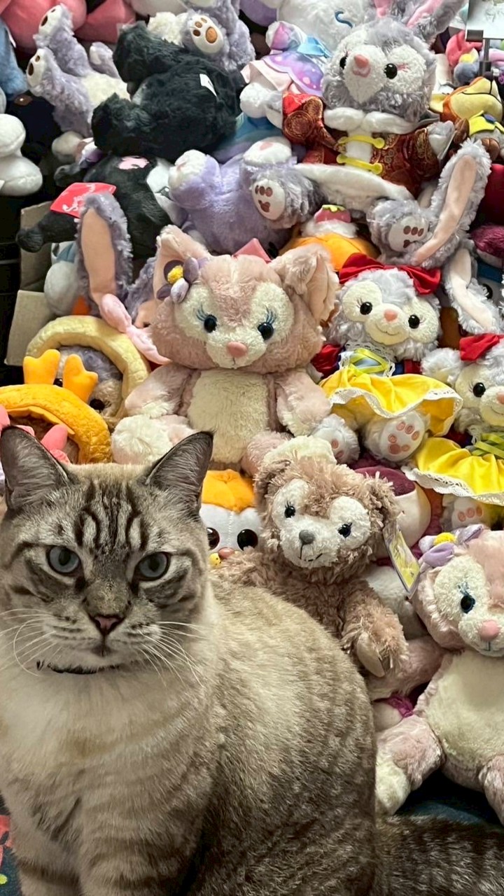 ตุ๊กตาคุณลุงธาร