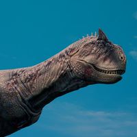 〜トーナメント戦の集い〜