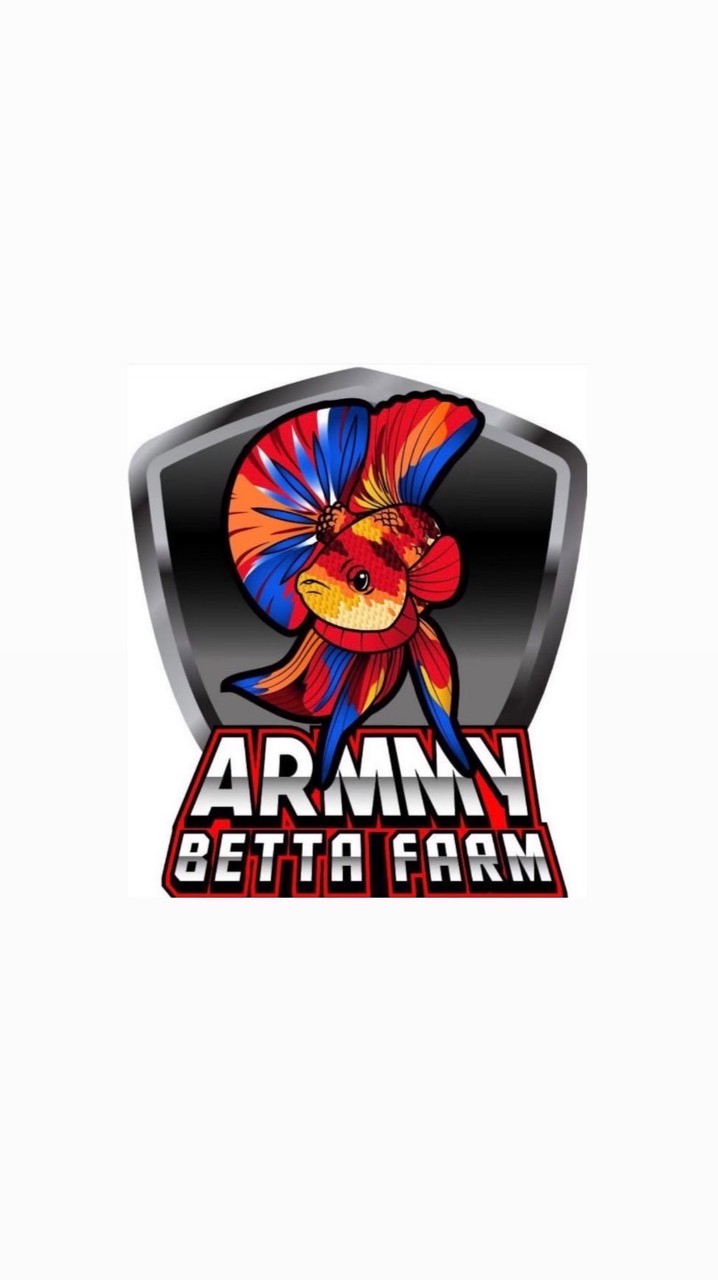 ร้านปลากัด Armmy Bettafarm