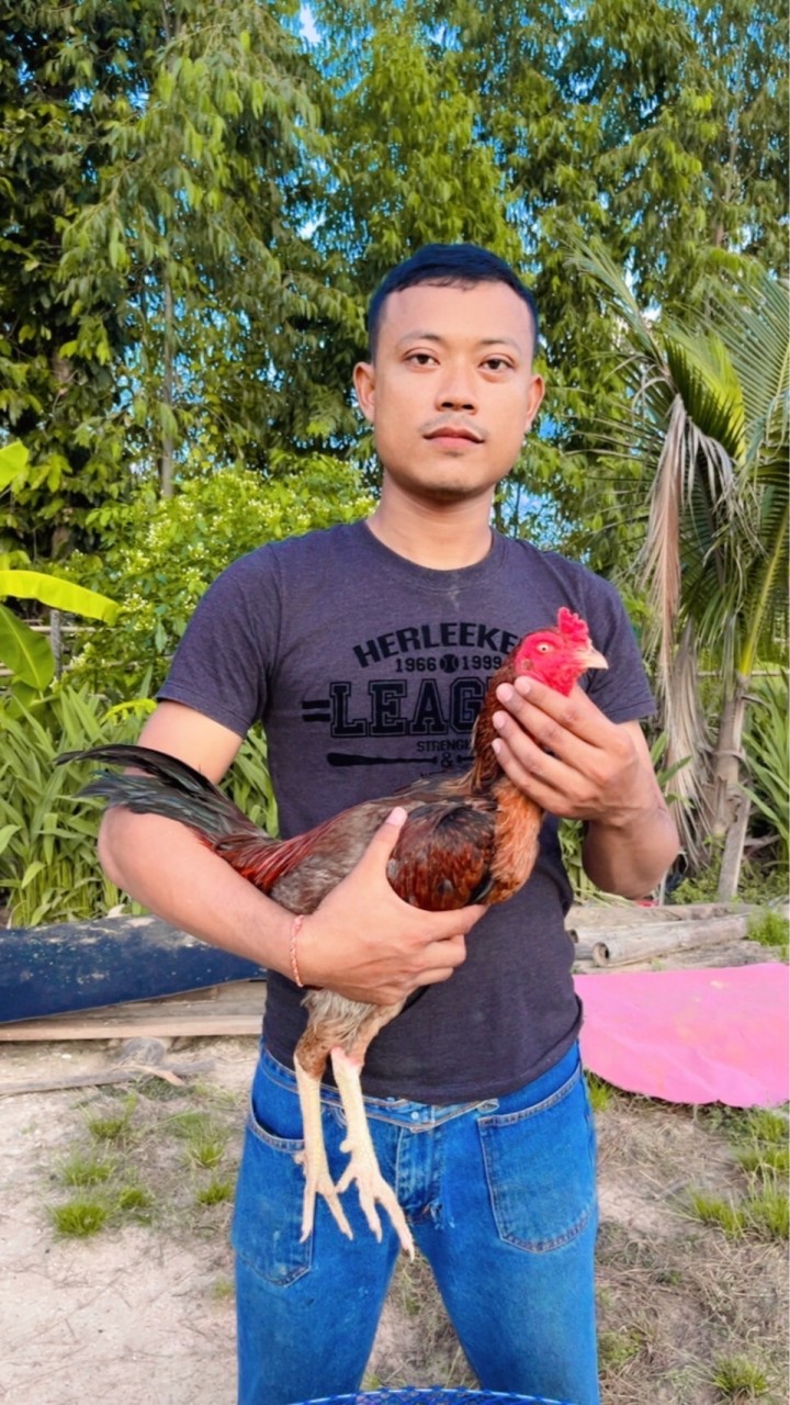 ก๊อต ปิยะวัช ฟาร์ม🐔
