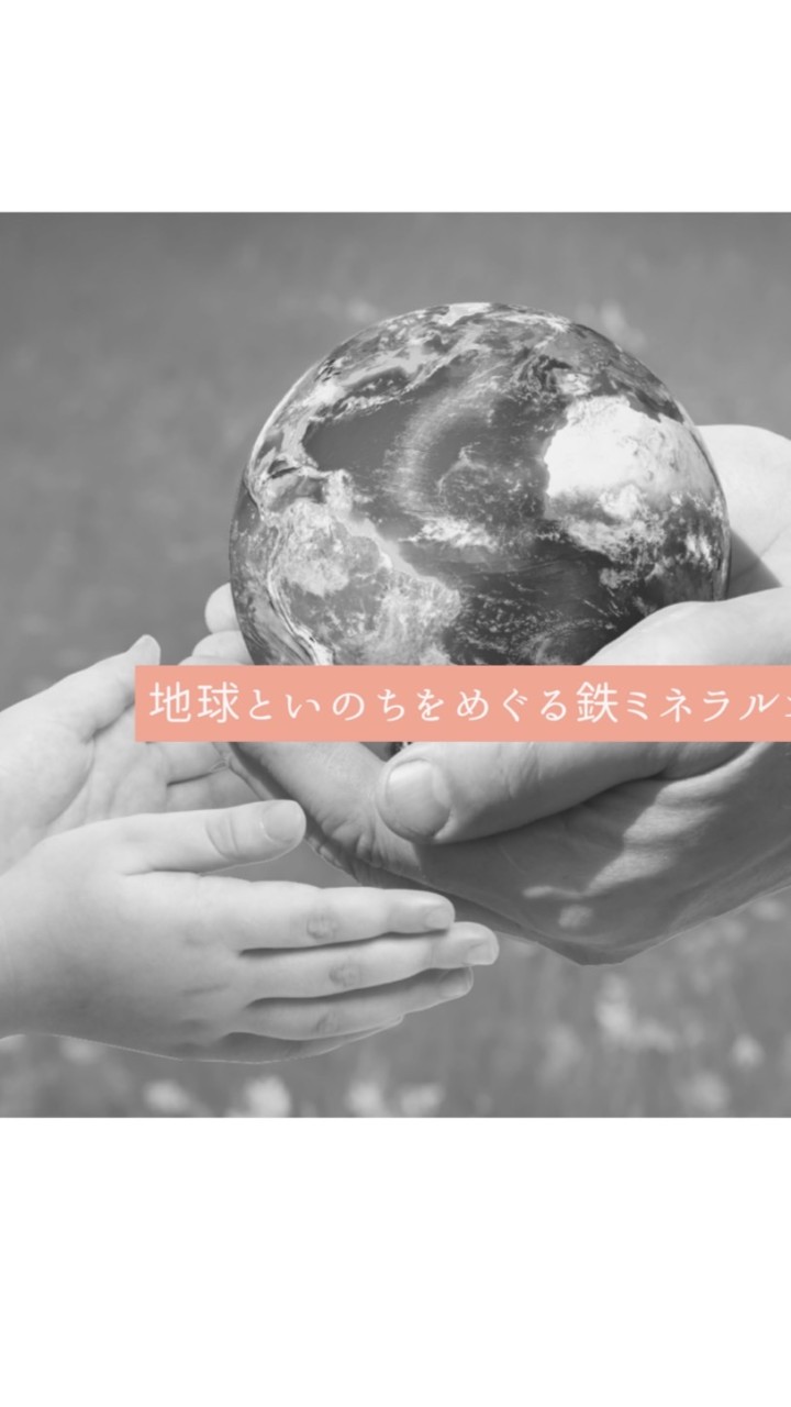 親子アドバイザーの鉄ミネラルお話し会サポートグループ