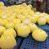 錢嫂果園（三星鄉小農自產自銷）