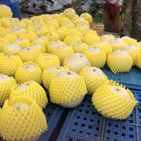 錢嫂果園（三星鄉小農自產自銷）