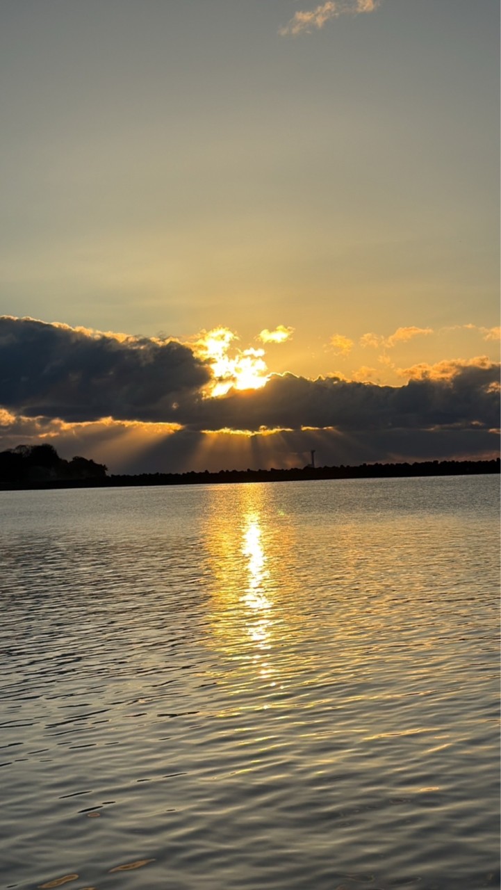 浪川家家族グル