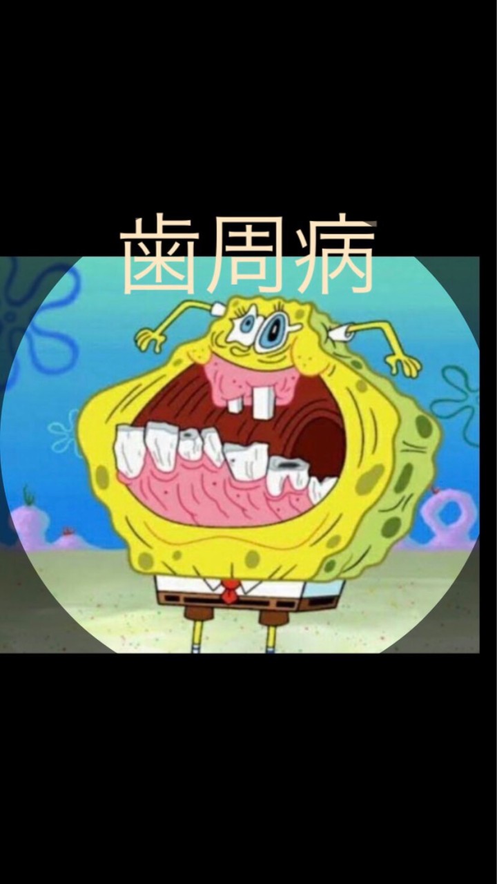 面白い画像🤣