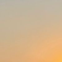 🌞【限定】EARLY BIRD CLUB