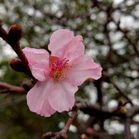 50+北部朋友爬山健行