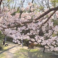 令和5年度　浄蓮寺保育園