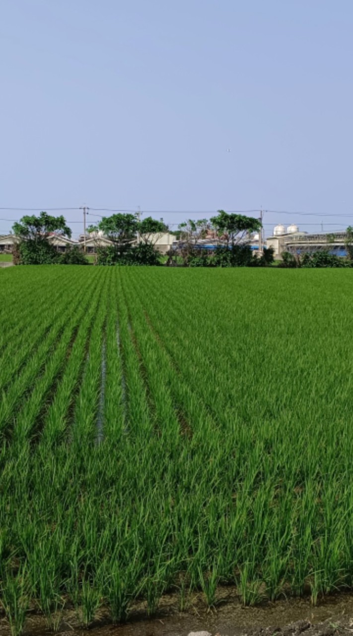 花東上榜