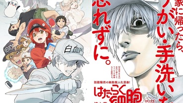 人氣動畫《工作細胞》第二季、《工作細胞BLACK》明年播出！
