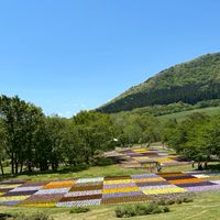 PVLの会(宮城)