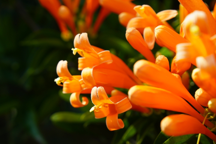 攝錄輕旗艦 Sony A6400 隨身相機動手玩