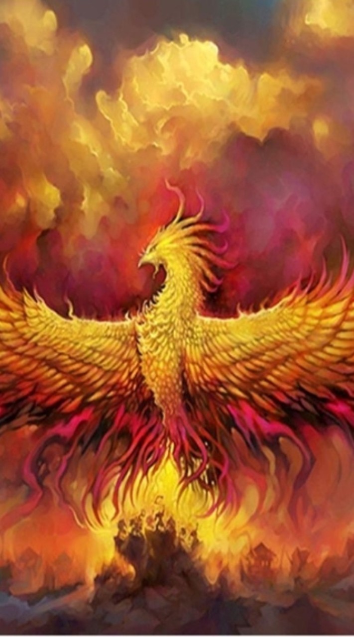 Phoenix family